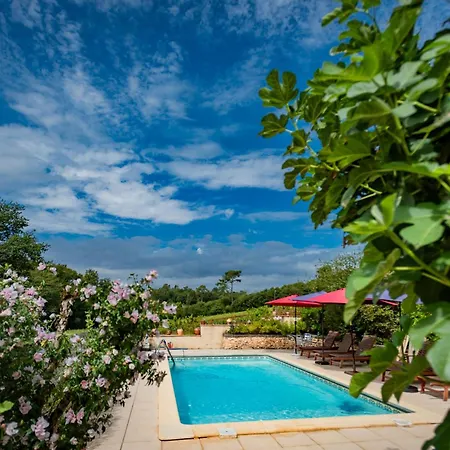 Maison Micouleaud Сasa de vacaciones *